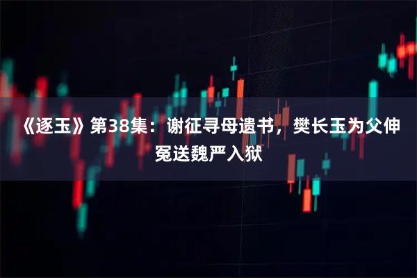 《逐玉》第38集：谢征寻母遗书，樊长玉为父伸冤送魏严入狱