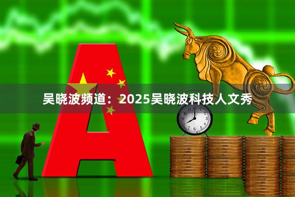 吴晓波频道：2025吴晓波科技人文秀