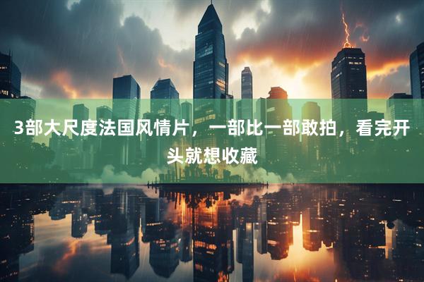 3部大尺度法国风情片，一部比一部敢拍，看完开头就想收藏