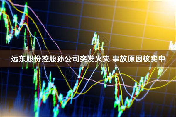 远东股份控股孙公司突发火灾 事故原因核实中